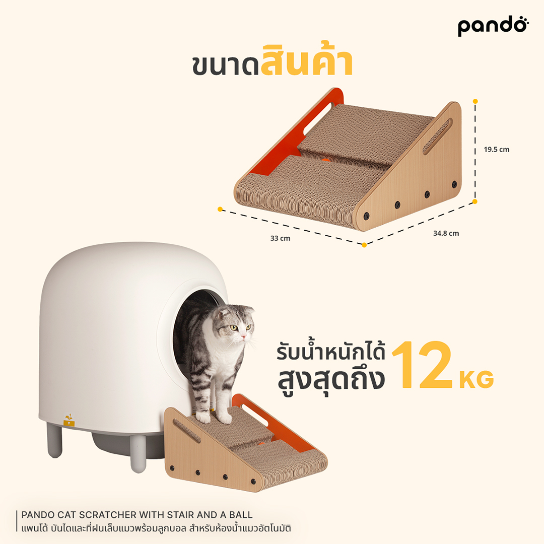 ที่ลับเล็บแมว บันไดพร้อมลูกบอล PANDO บันไดห้องน้ำแมว_2